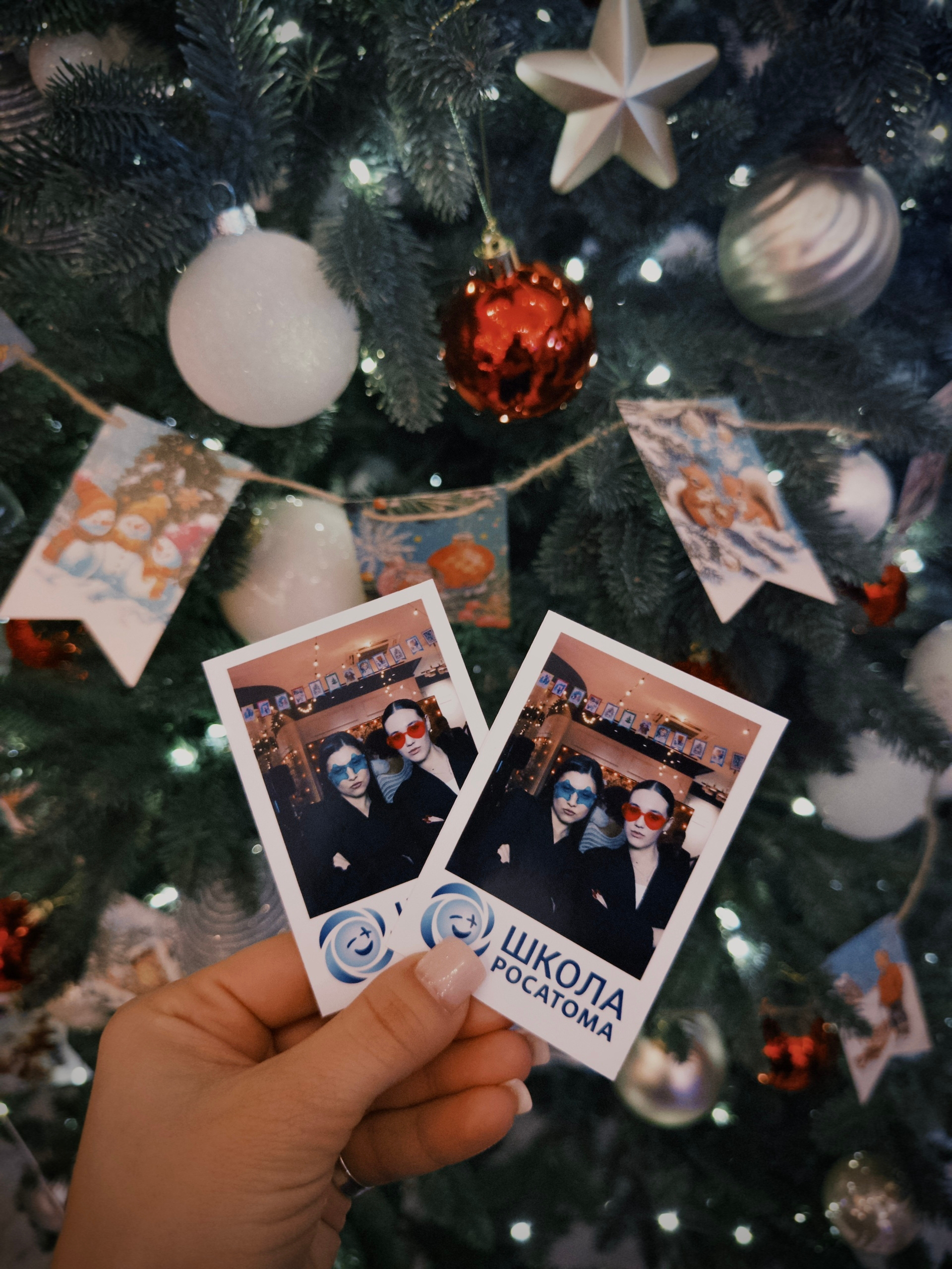 image-30-12-26-04-55-3